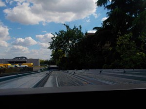 DSCN5999_opt